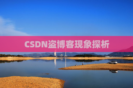 CSDN盗博客现象探析
